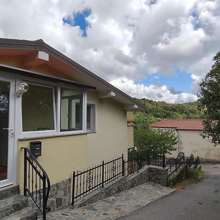 Apartma Apollonio Črni Kal Exteriör bild